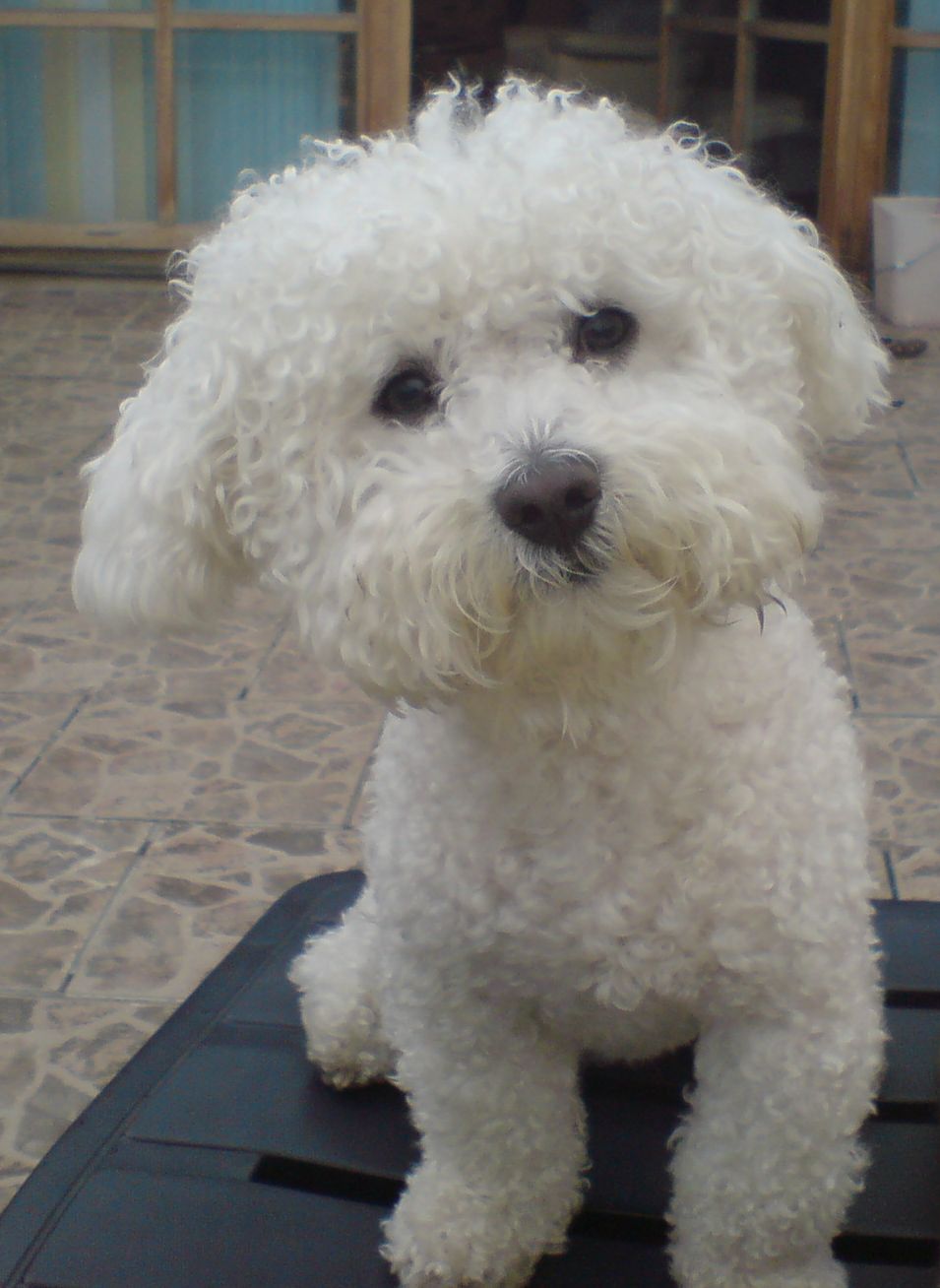 DSC00100.jpg