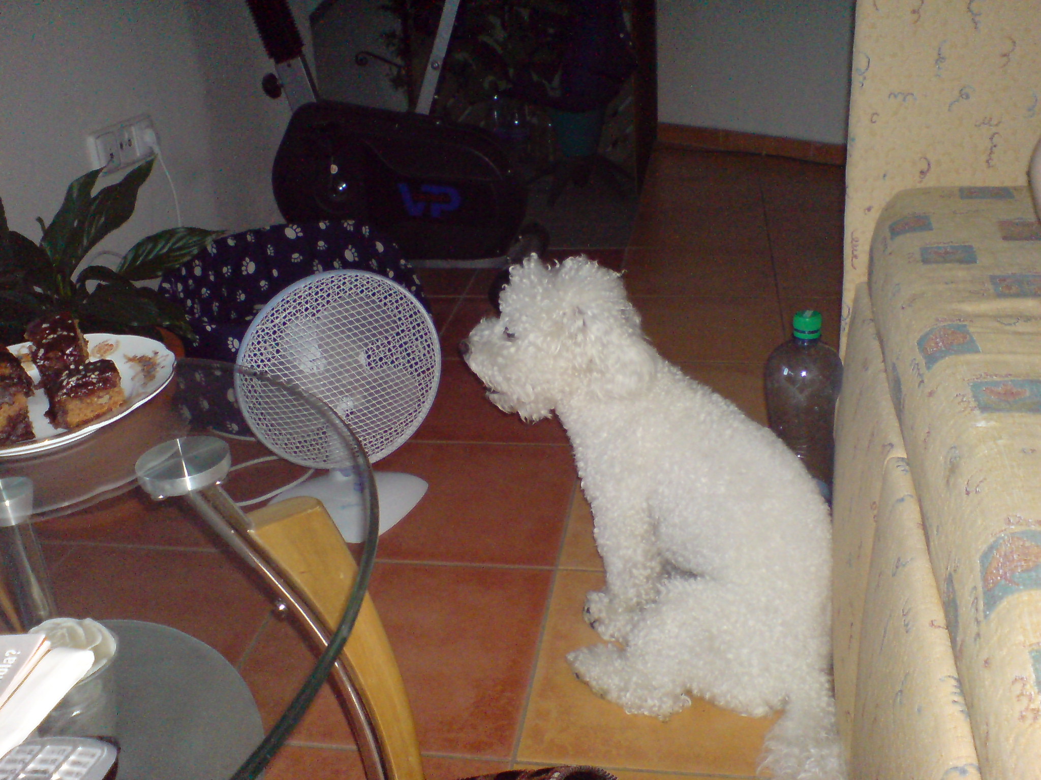 DSC00145.JPG